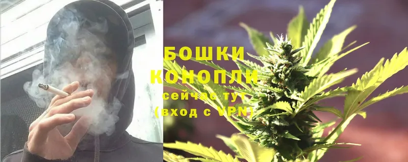 хочу   Красавино  Бошки марихуана SATIVA & INDICA 